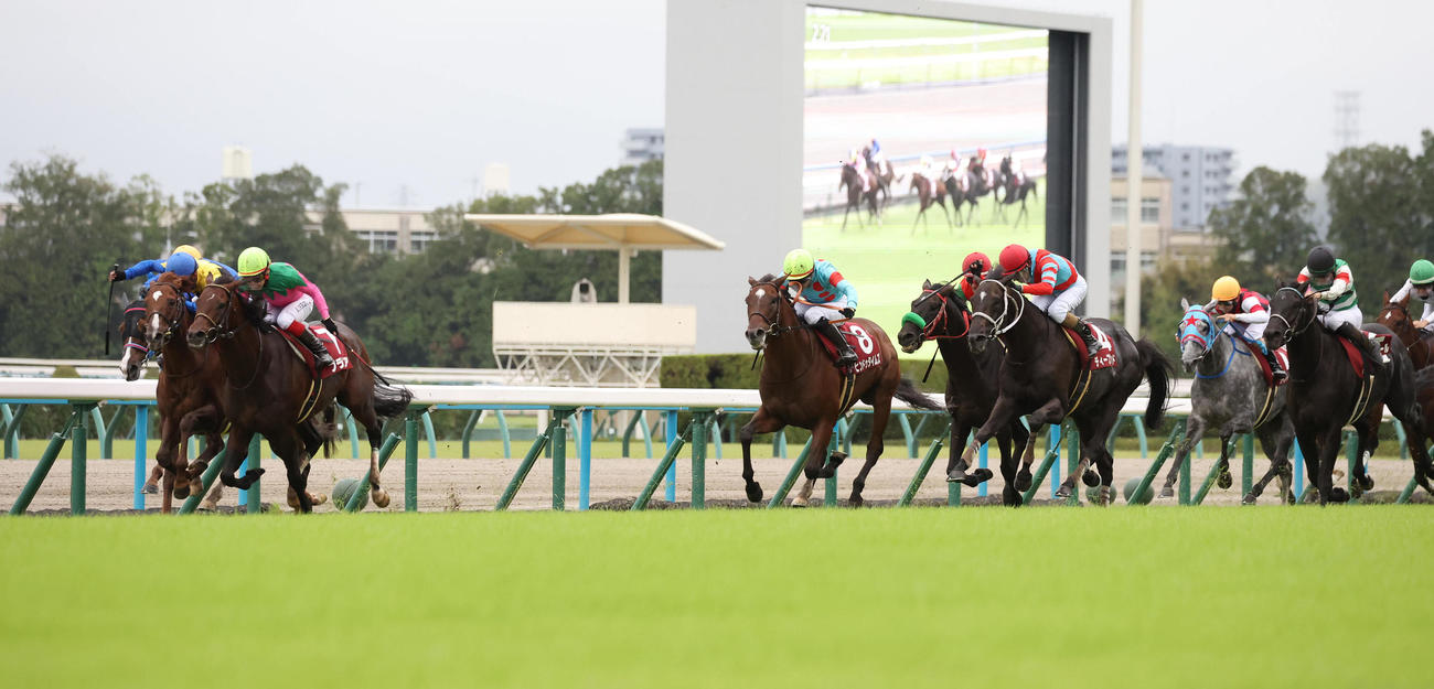 ボッケリーニ（左から2頭目）との接戦を制して京都大賞典を勝利したプラダリア（左から3頭目）