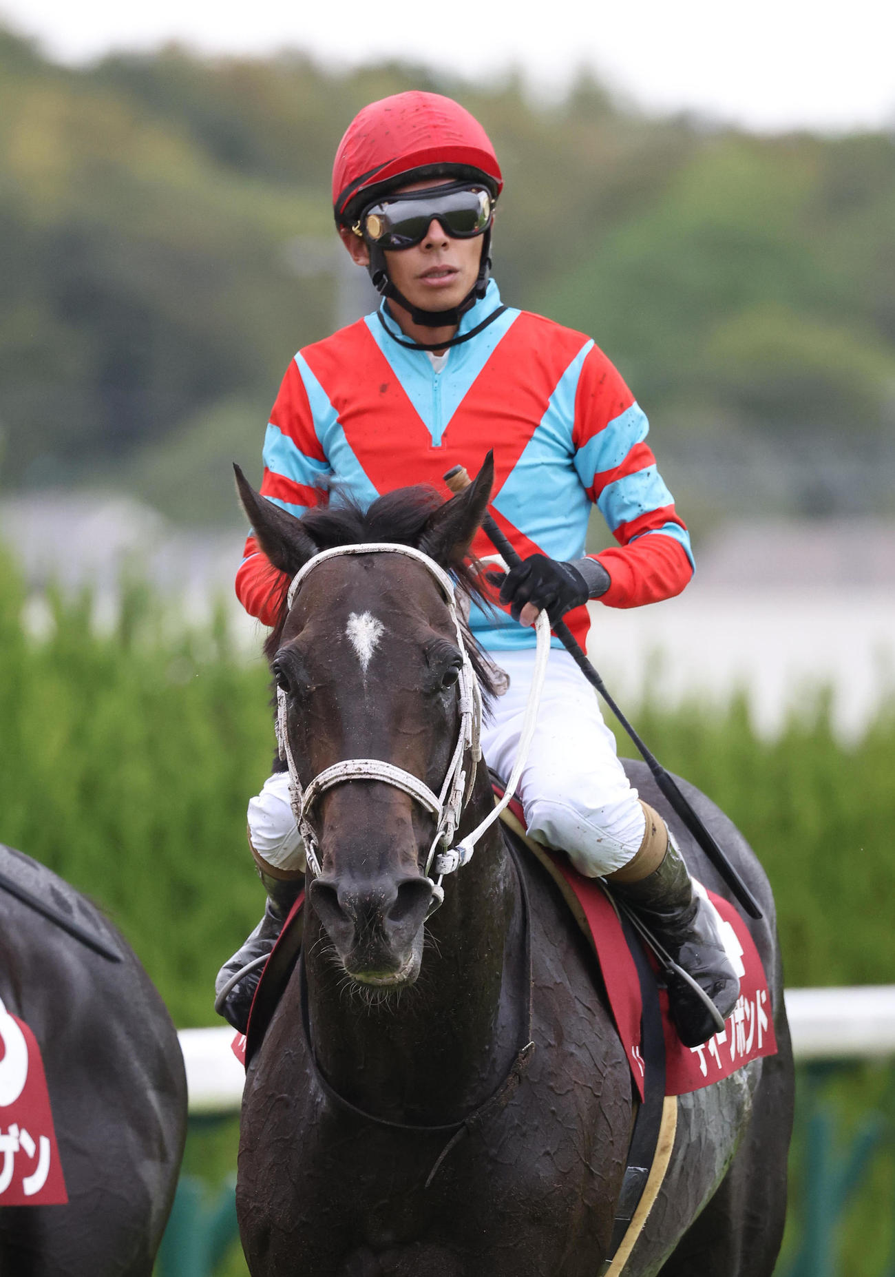 京都大賞典3着に敗れた1番人気のディープボンドと和田竜二騎手（撮影・白石智彦）