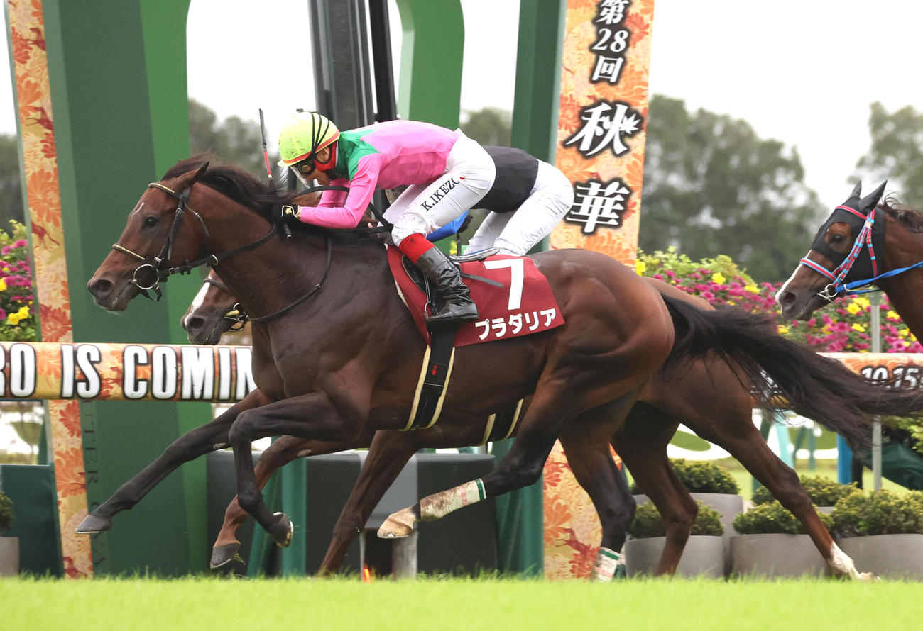 ボッケリーニ（奥）との接戦を制して京都大賞典を勝利したプラダリア（撮影・白石智彦）