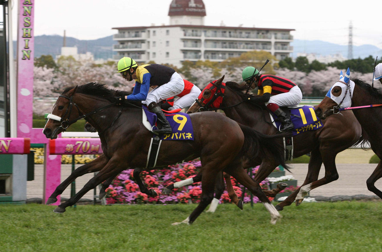2010年牝馬３冠　アパパネ