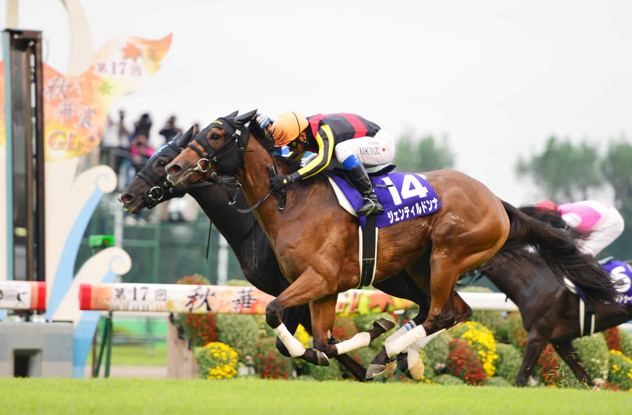 2012年牝馬３冠　ジェンティルドンナ