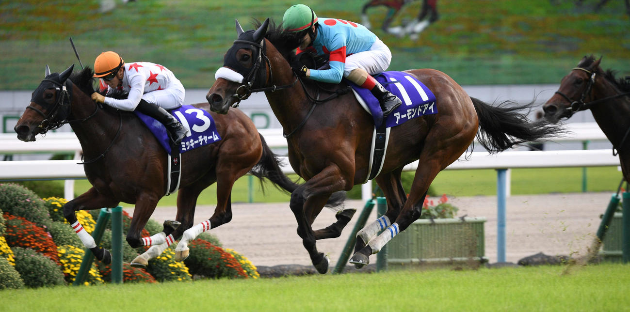 2018年牝馬３冠　アーモンドアイ