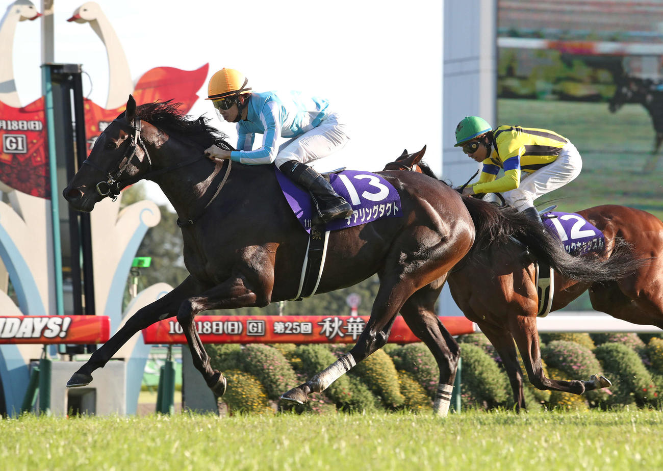2020年牝馬３冠　デアリングタクト