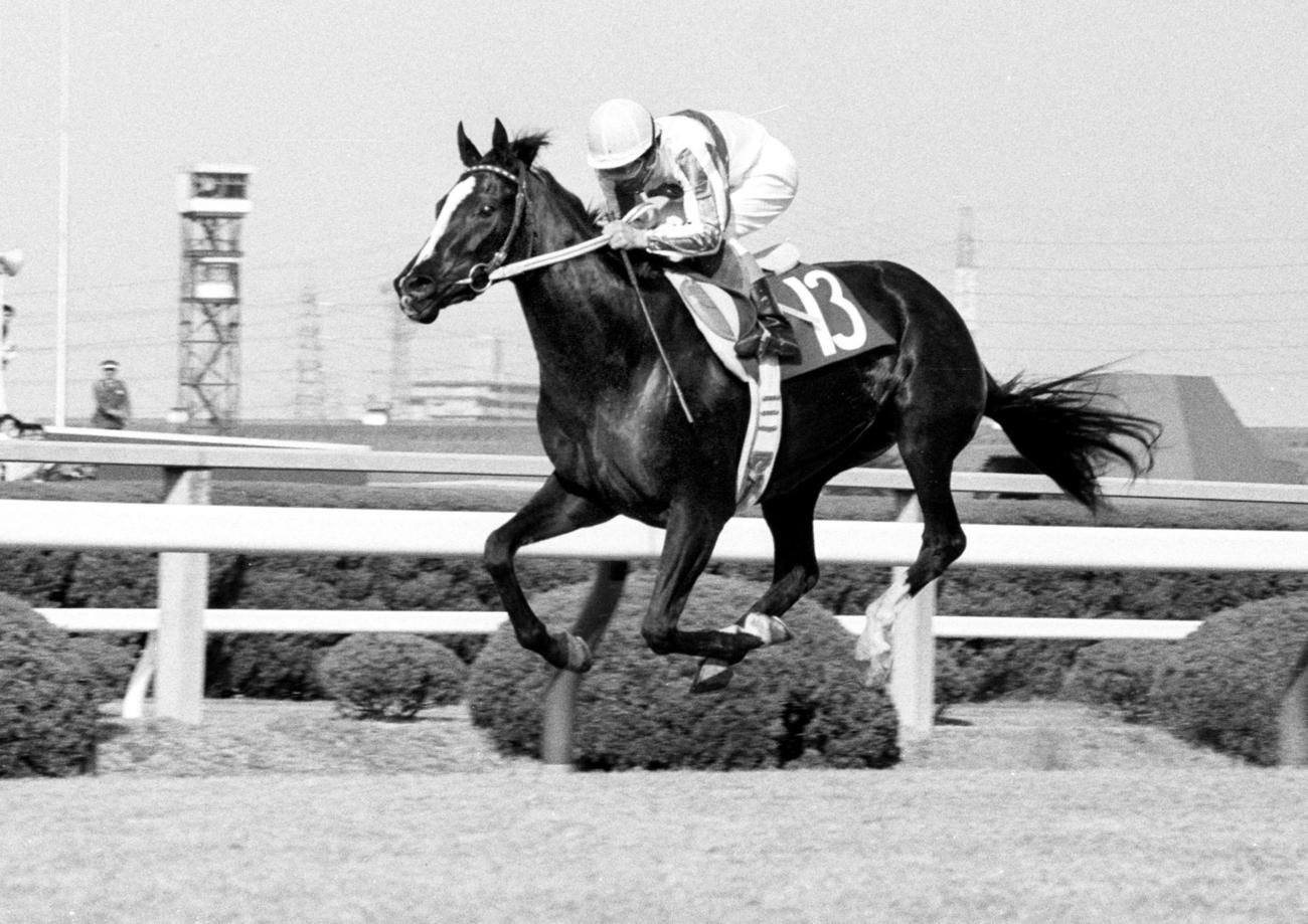 1986年牝馬３冠　メジロラモーヌ