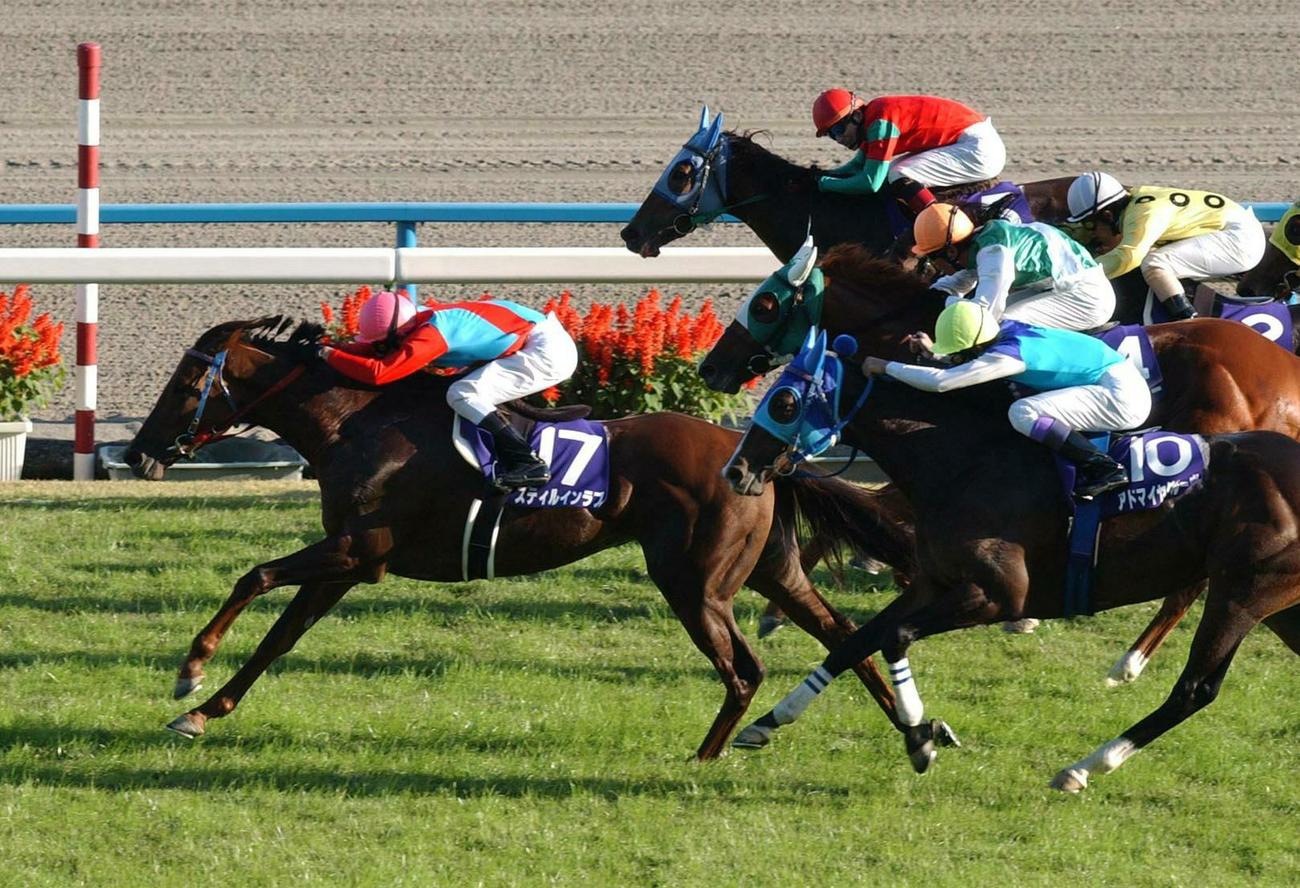 2003年牝馬３冠　スティルインラブ