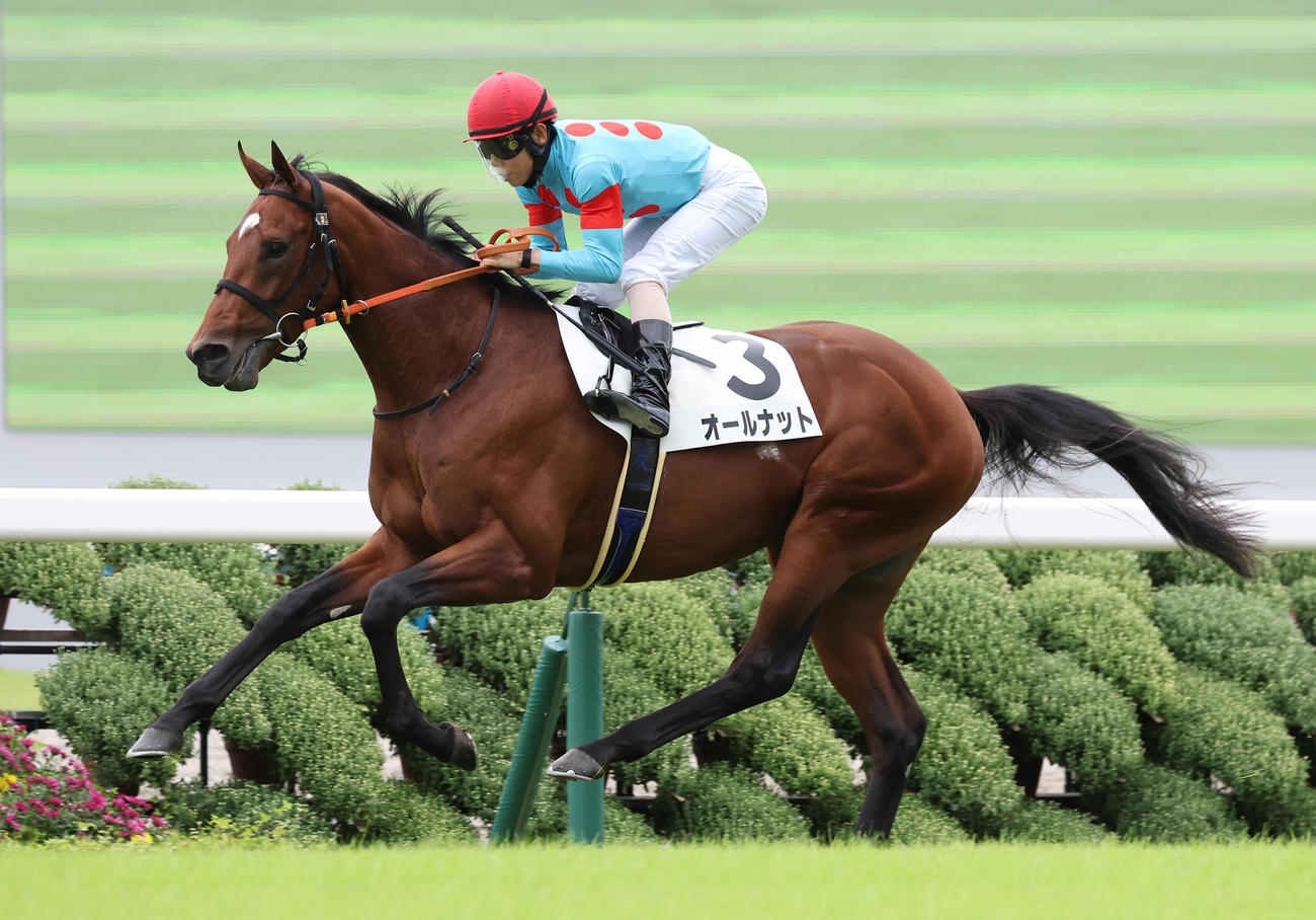 逃げ切って新馬戦を制したオールナット（撮影・白石智彦）