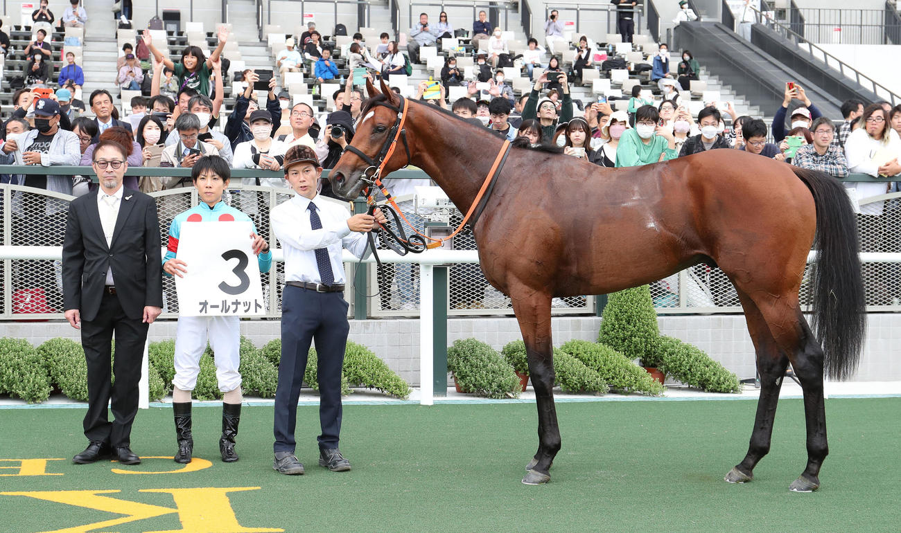 京都5R、新馬戦を制したオールナットと口取りに並ぶ北村友騎手（中央）（撮影・白石智彦）