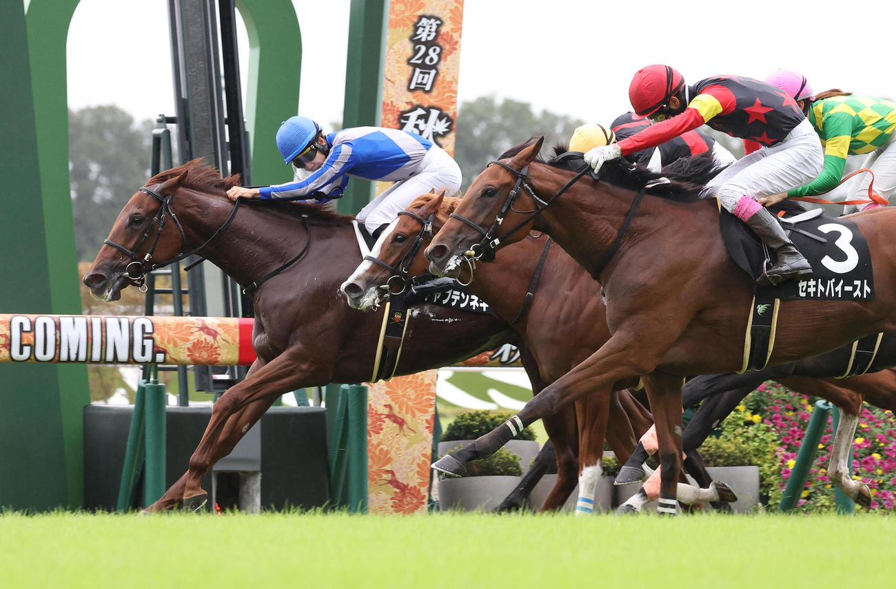 りんどう賞を制したキャプテンネキ（左）は新馬戦から2連勝（撮影・白石智彦）