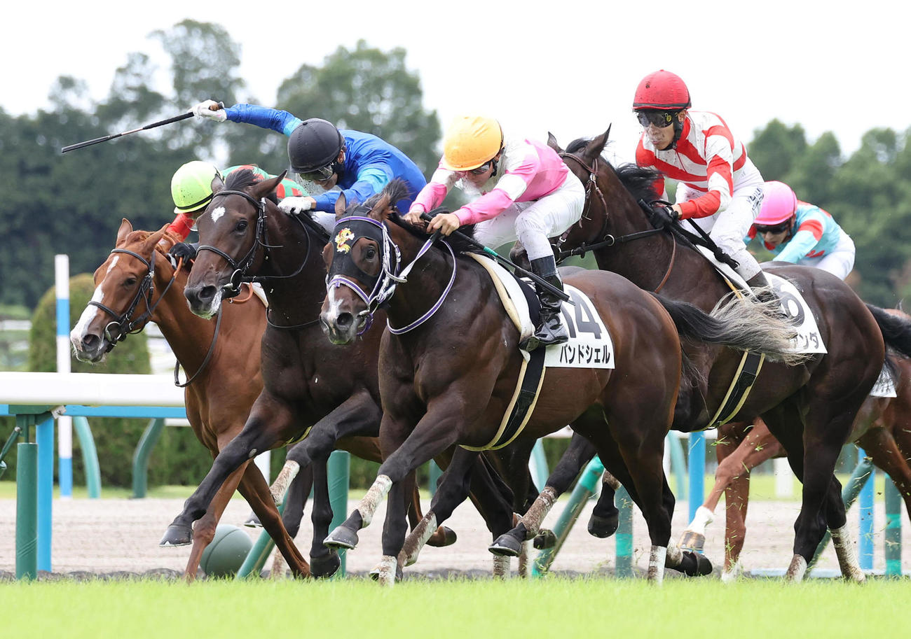 直線で外から伸びたバンドシェル（左から3頭目）が新馬戦を勝利した（撮影・白石智彦）
