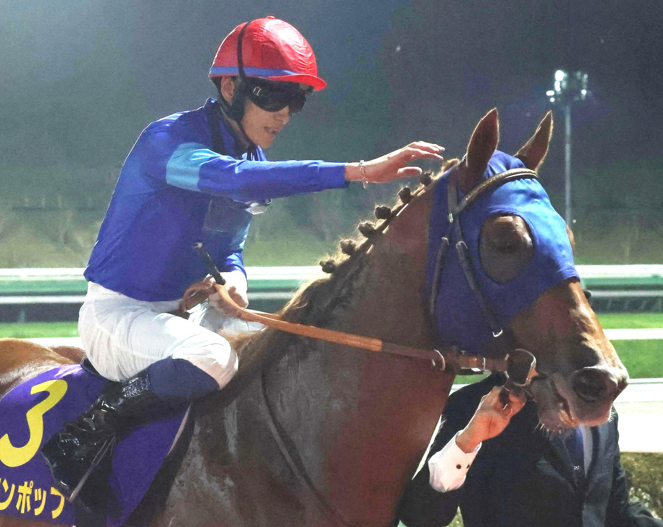南部杯を制したレモンポップをねぎらう坂井瑠星騎手（撮影・丹羽敏通）
