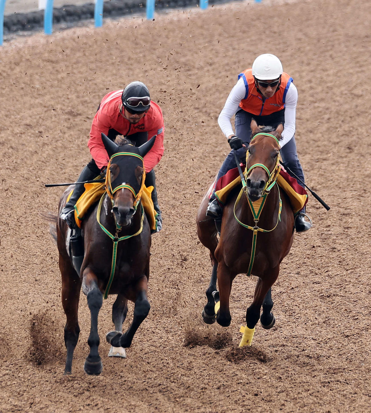 シンリョクカ（右）は美浦ウッドでボイラーハウスと併せて追い切られた（2023年10月4日撮影）