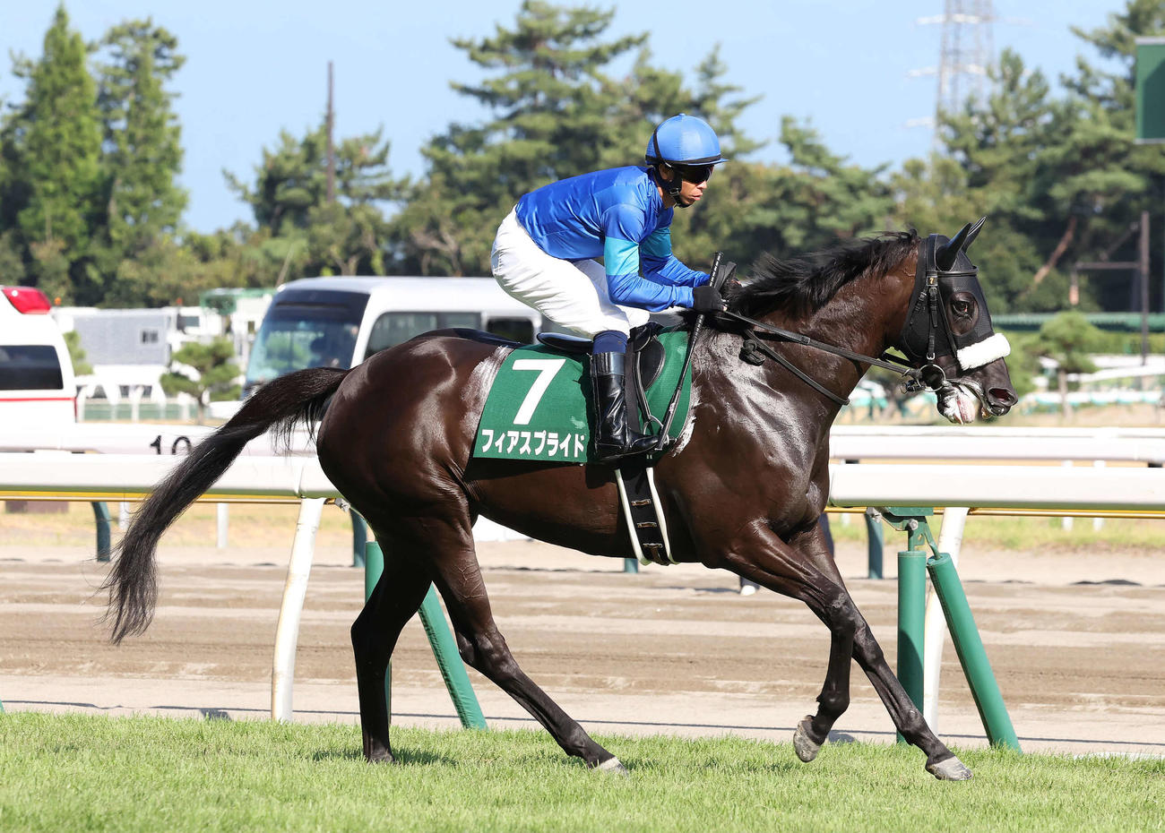 関屋記念に出走したフィアスプライド（2023年8月13日撮影）