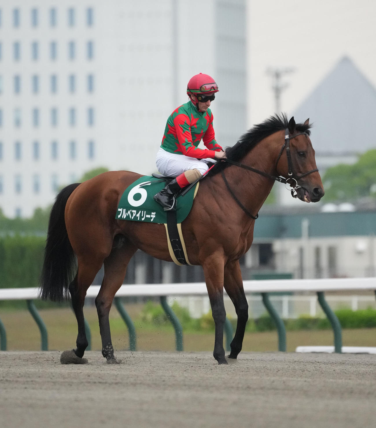 ブルベアイリーデ（2022年5月21日撮影）