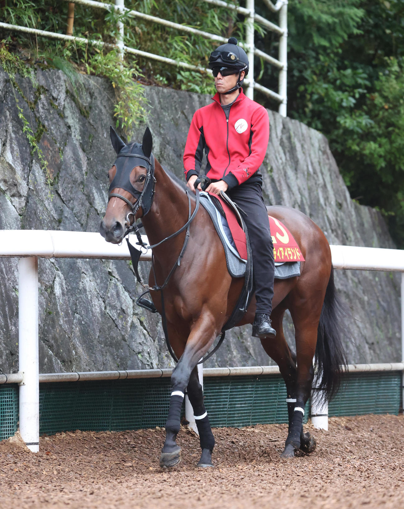 調教へ向かうリバティアイランド
