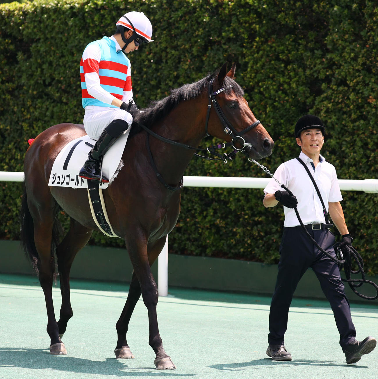 8月20日、新馬戦を制したジュンゴールド