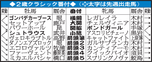 2歳クラシック番付