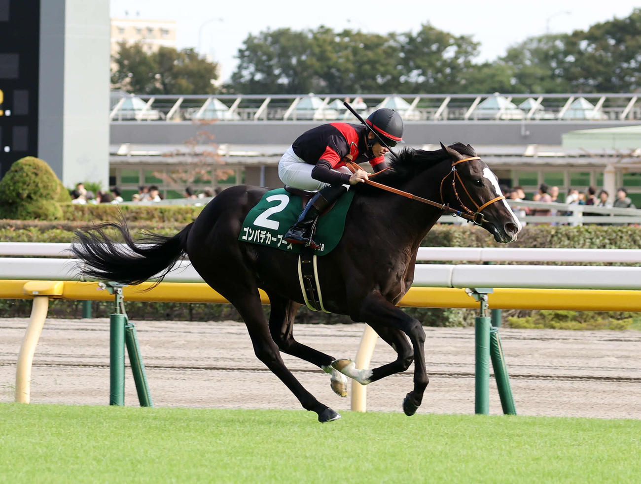 サウジアラビアRCを制したゴンバデカーブース
