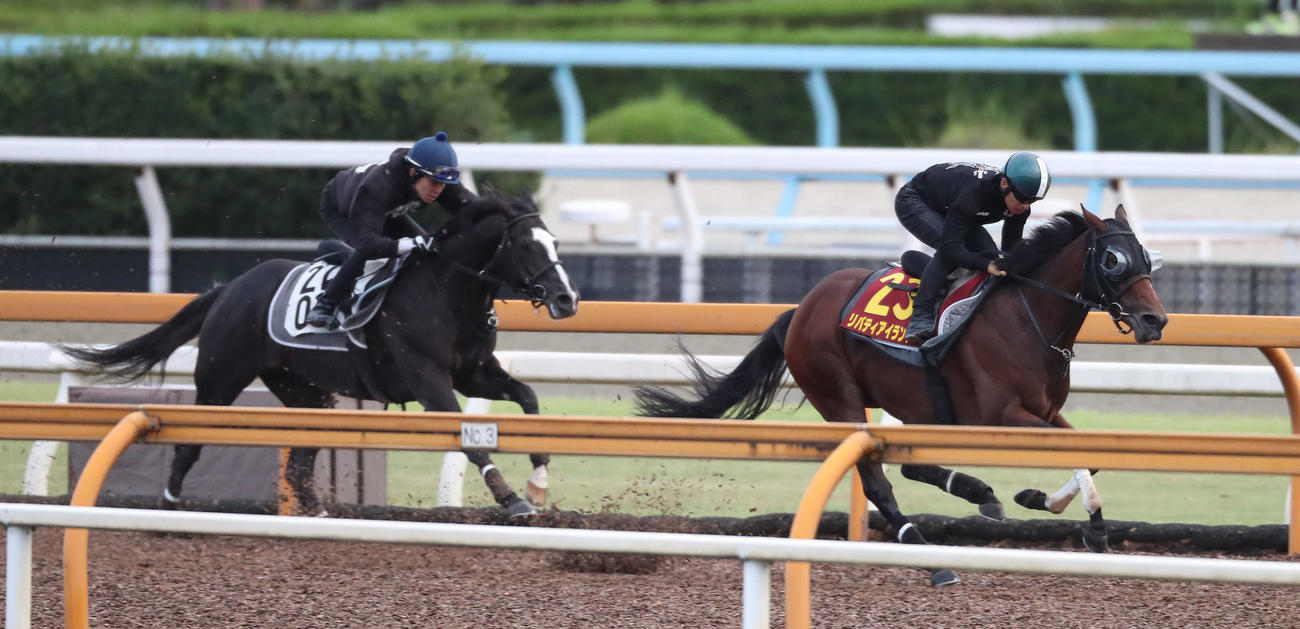 Cウッドをメイショウクーガー（左）と併せ馬で追い切るリバティアイランド（撮影・白石智彦）