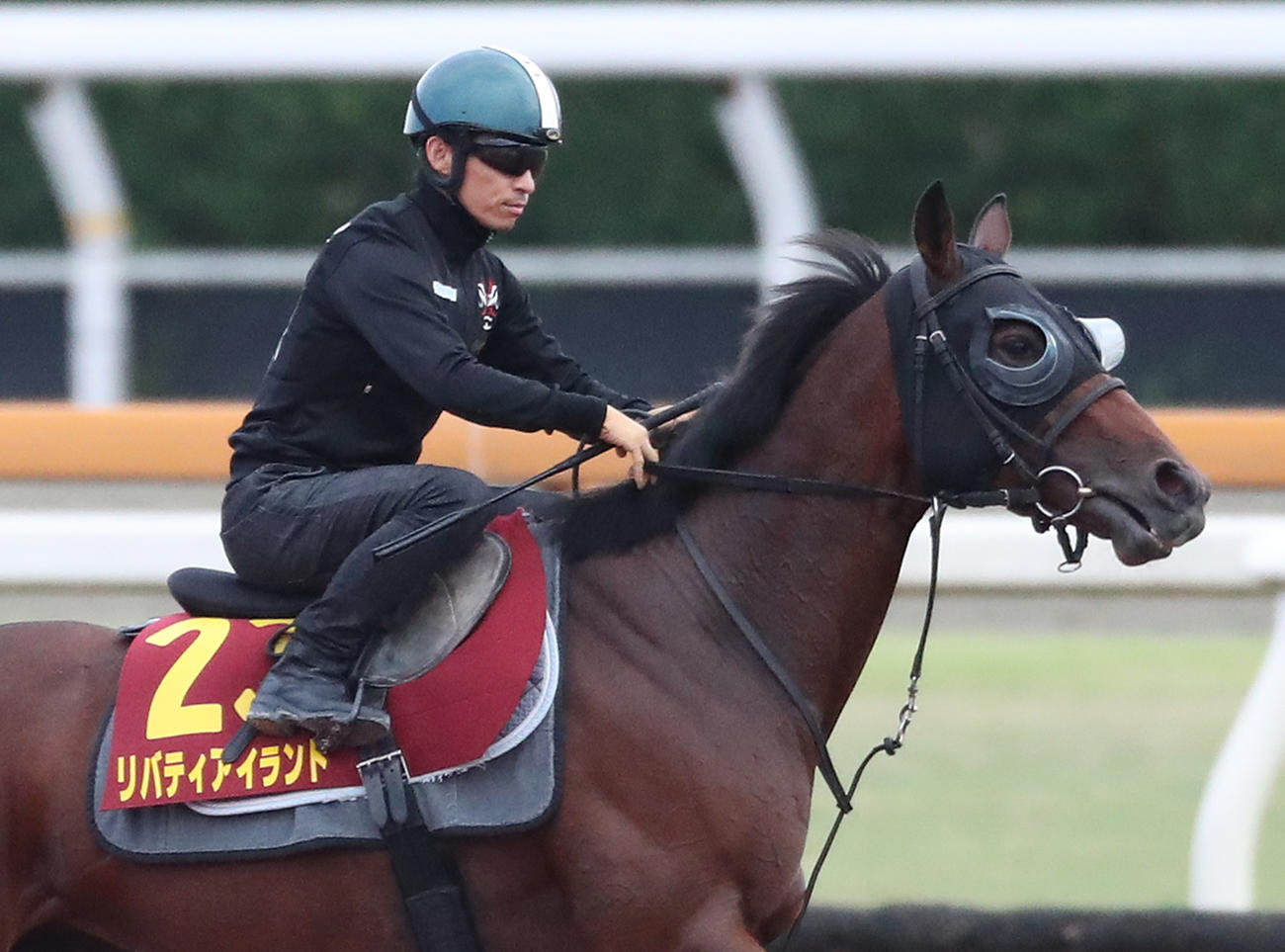 川田騎手を背に馬場入りするリバティアイランド（撮影・白石智彦）