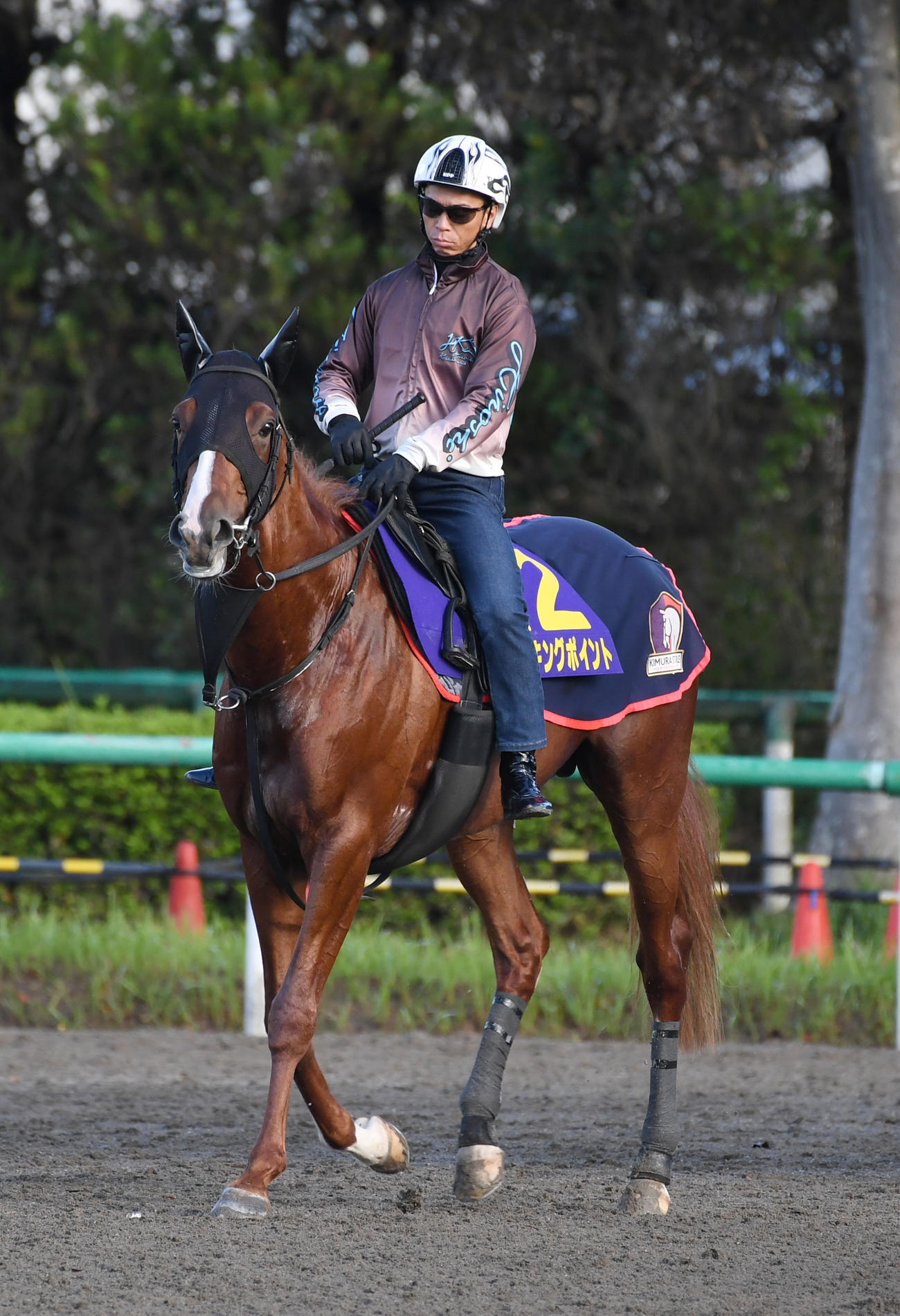 調教に向かうノッキングポイントと北村宏騎手（撮影・柴田隆二）