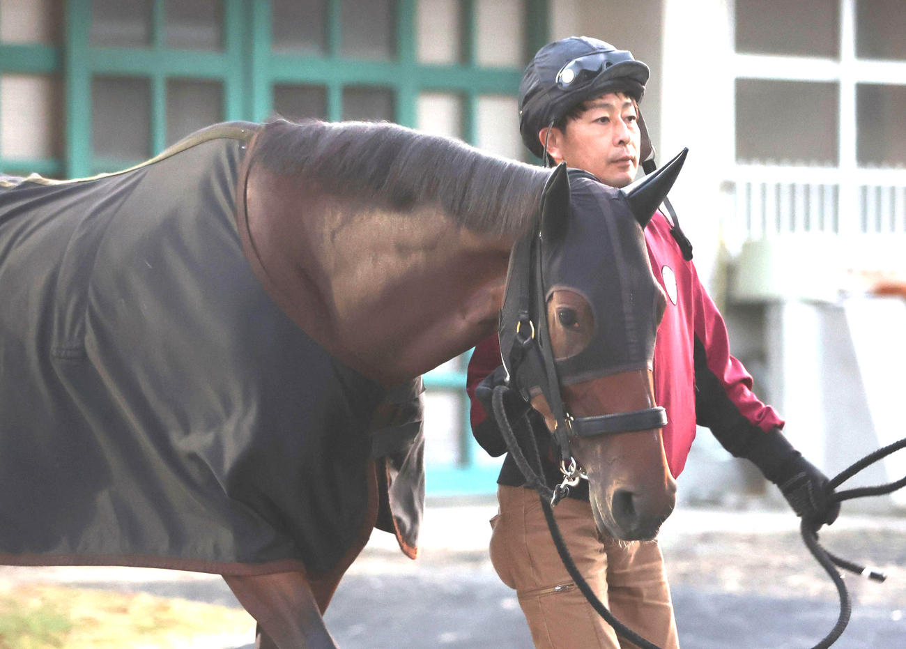 厩舎周りで運動するリバティアイランド（撮影・白石智彦）