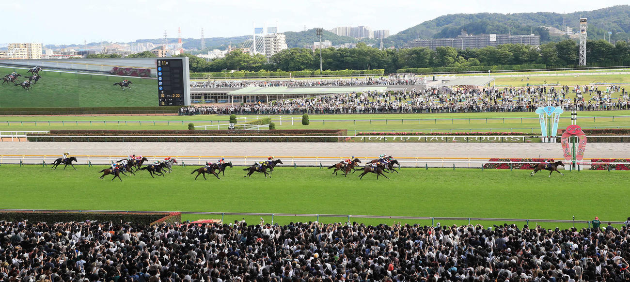 2着に6馬身の大差をつけてオークスを制したリバティアイランド