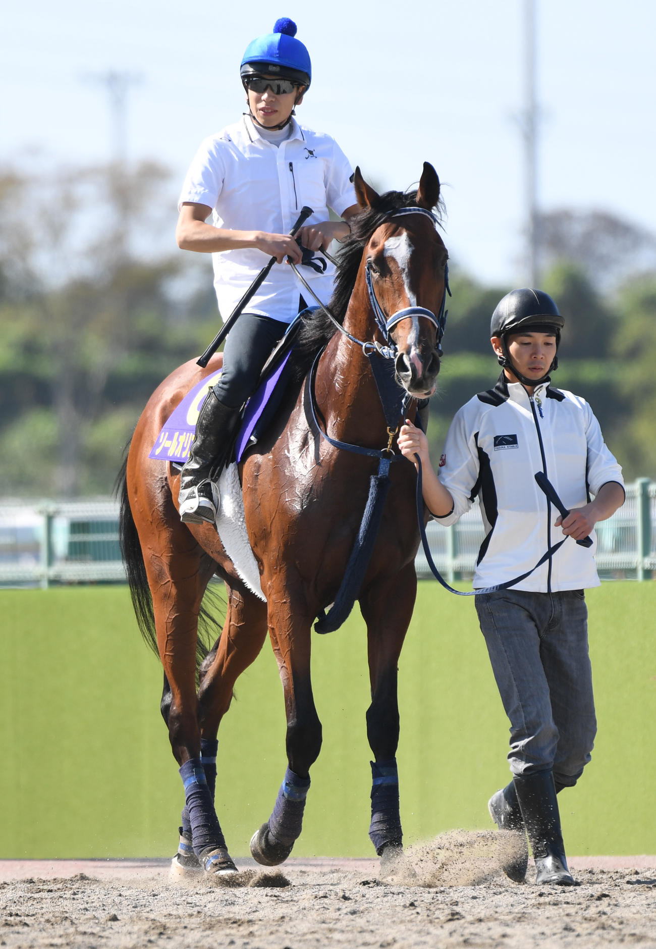 調教を終えて引き揚げるソールオリエンスと横山武騎手（撮影・柴田隆二）