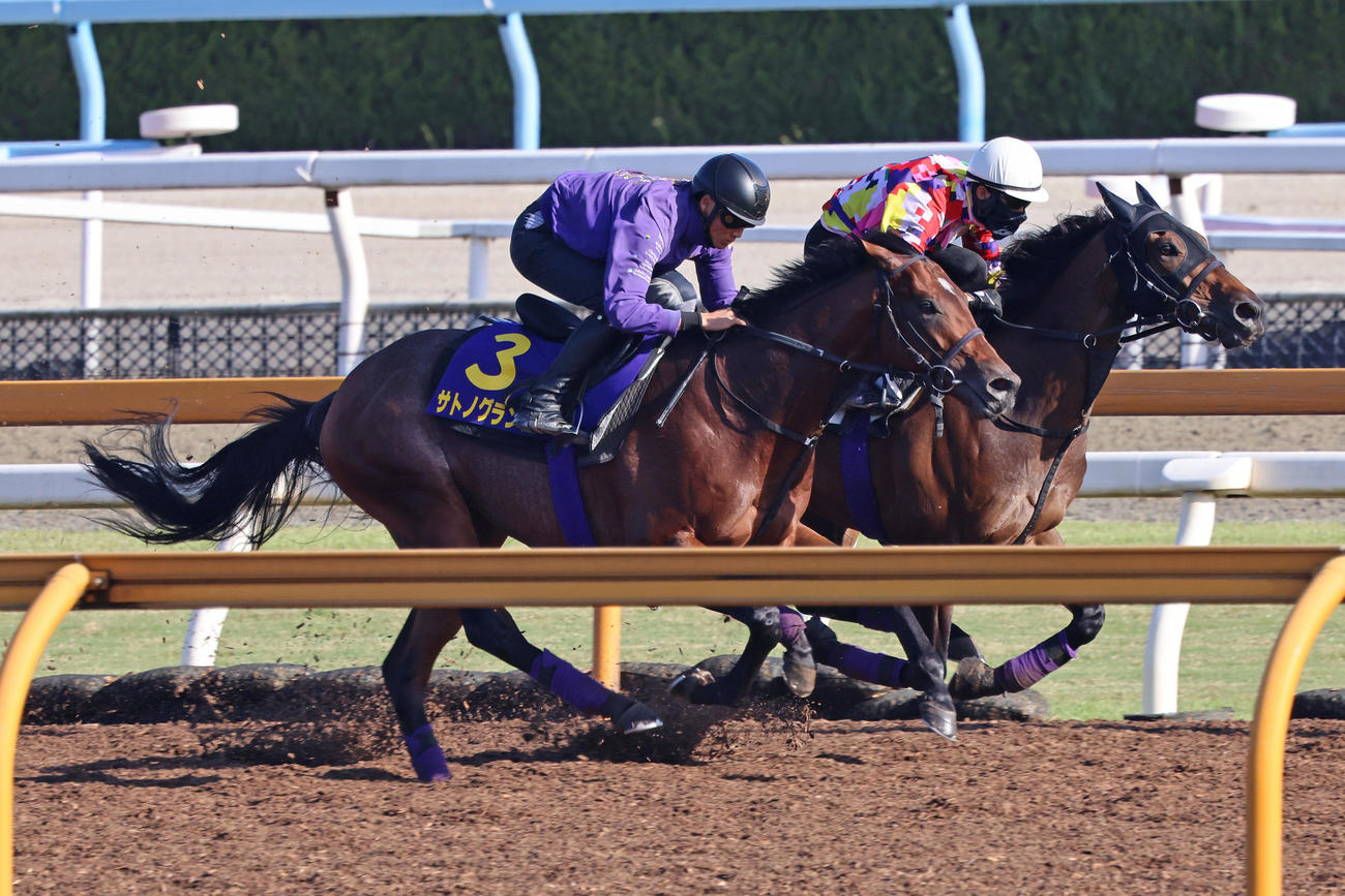 CWコースでフライライクバード（右）と併せたサトノグランツ