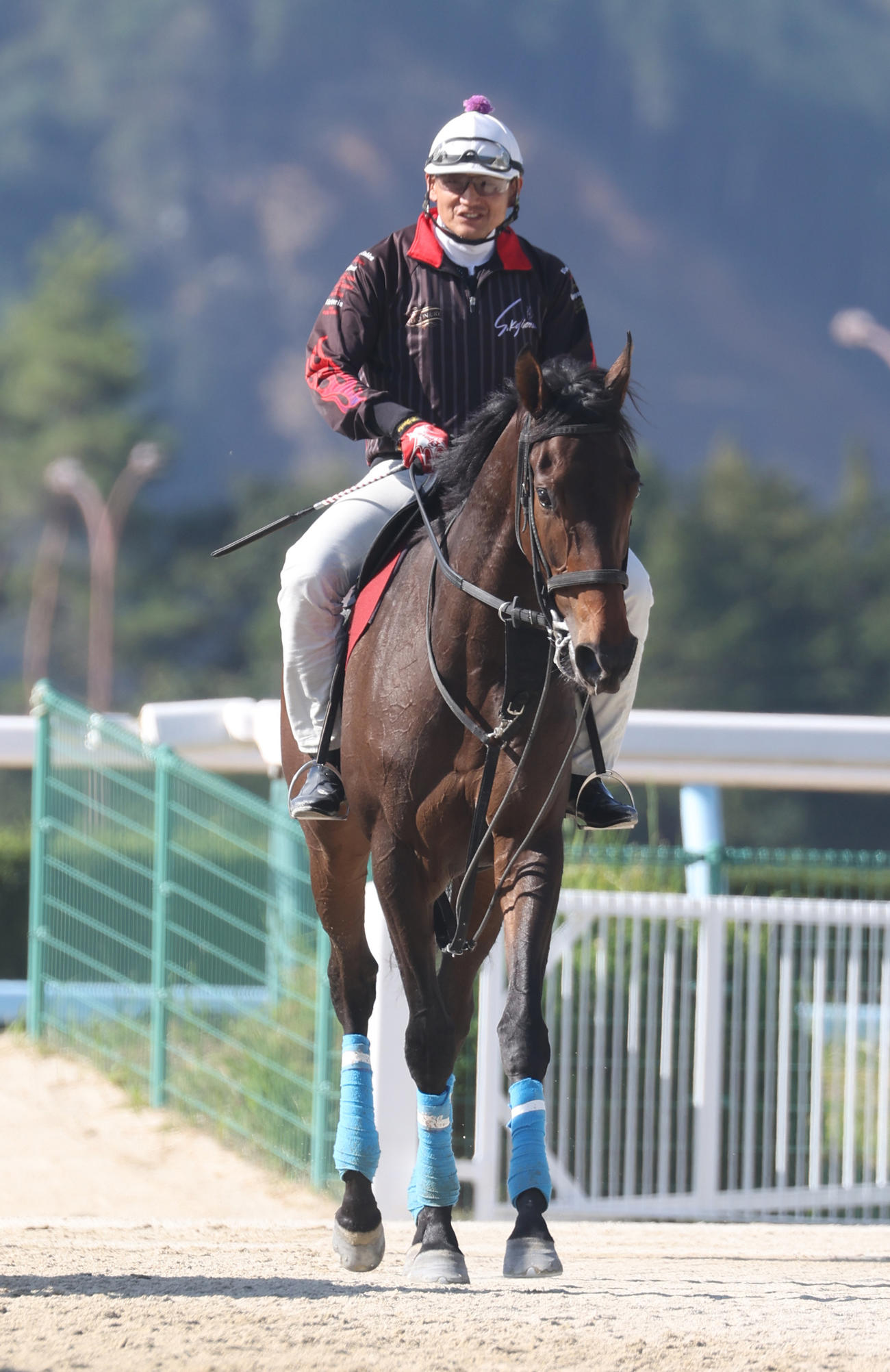 追い切りから引き揚げるキタウイング