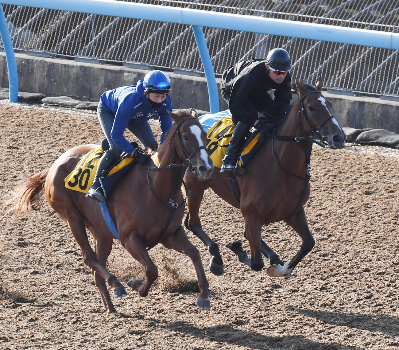 ファユエン（右）はトーアスカーレットと併せて追い切る（撮影・柴田隆二）