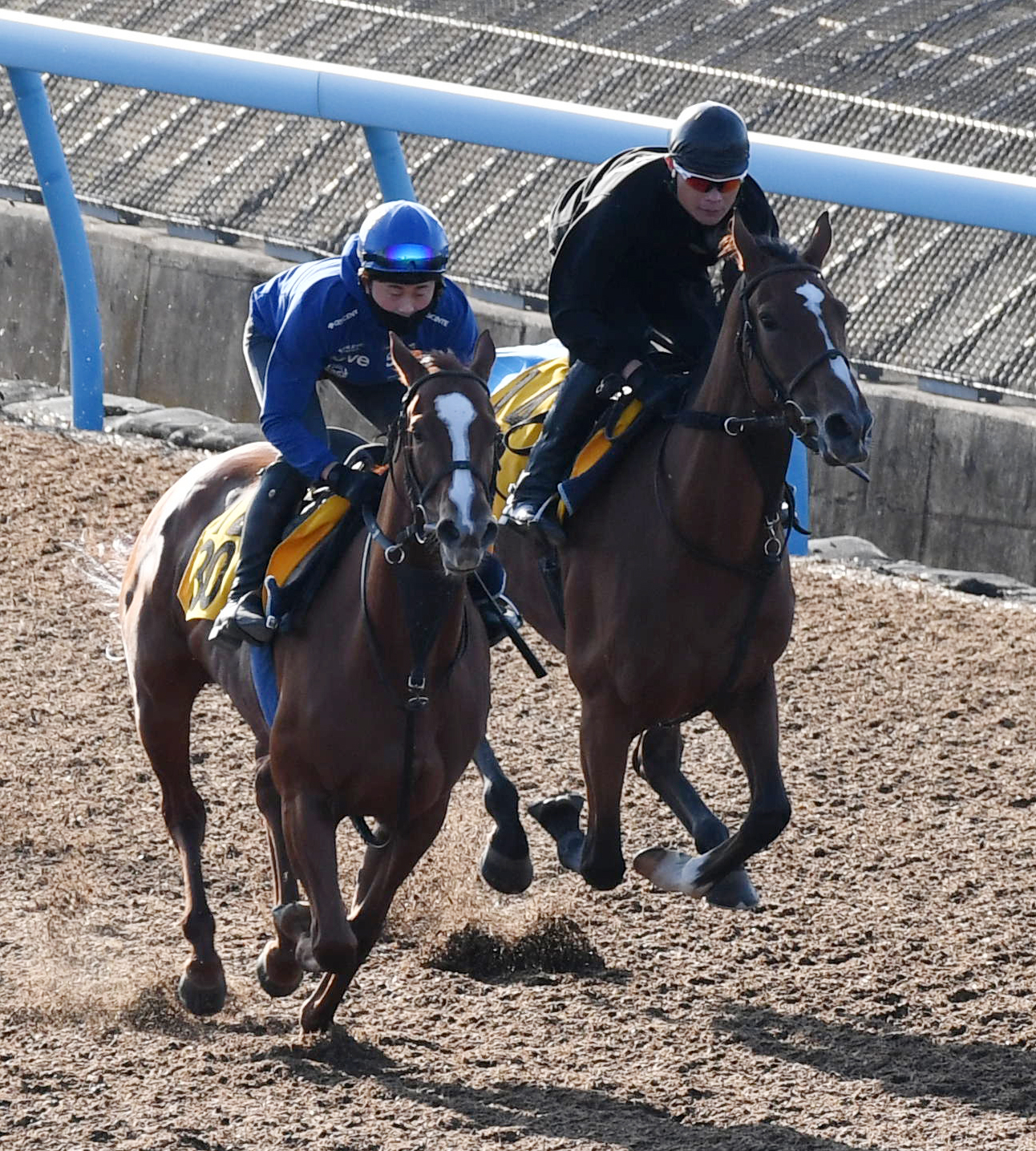 ファユエン（右）はトーアスカーレットと併せて追い切る（撮影・柴田隆二）
