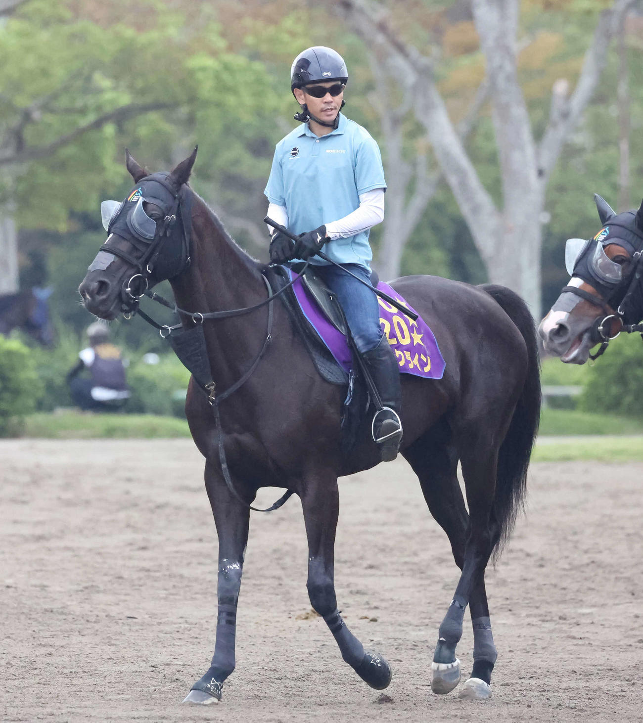 馬場へ向かうソングラインと戸崎騎手（2023年9月27日撮影）