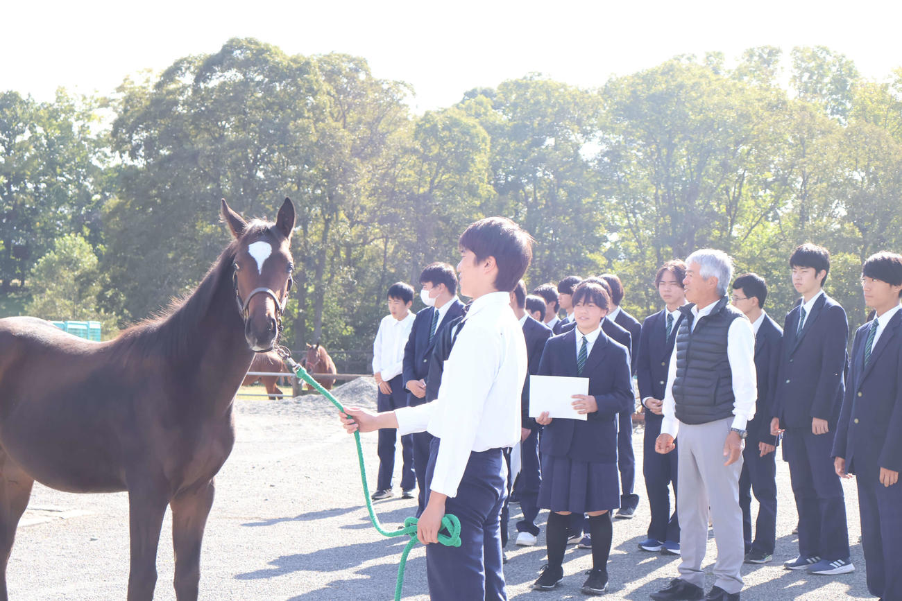 静内農高で講演した藤沢和雄元調教師