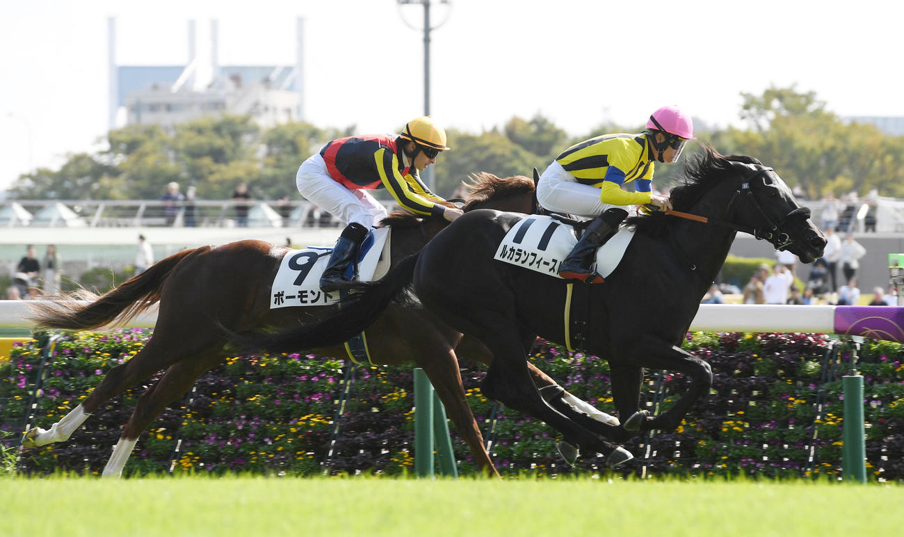 東京5R、新馬戦を制したルカランフィースト（右）。左は2着ボーモンド（撮影・柴田隆二）
