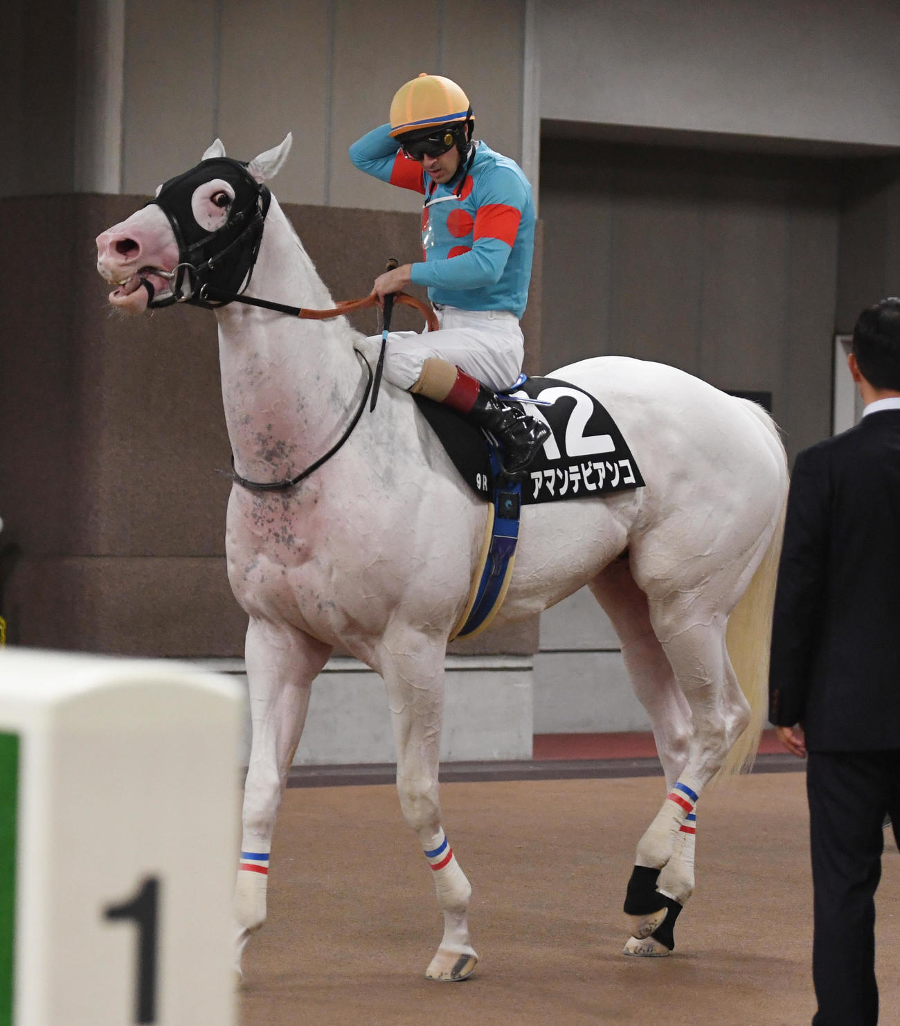 プラタナス賞で3着のアマンテビアンコとルメール騎手（撮影・柴田隆二）