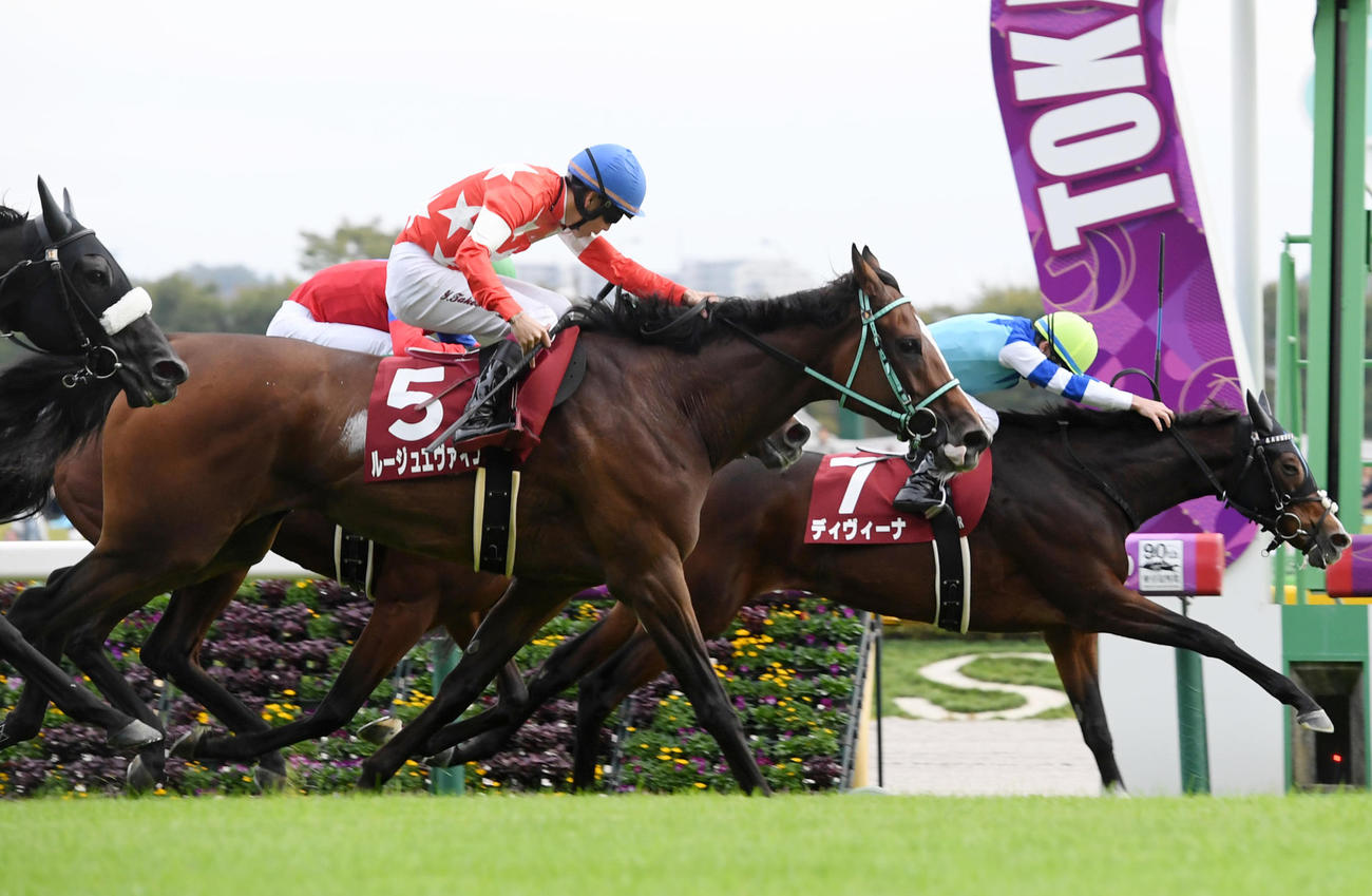 府中牝馬S2着に敗れたルージュエヴァイユ（左）。右は勝ったディヴィーナ（撮影・柴田隆二）