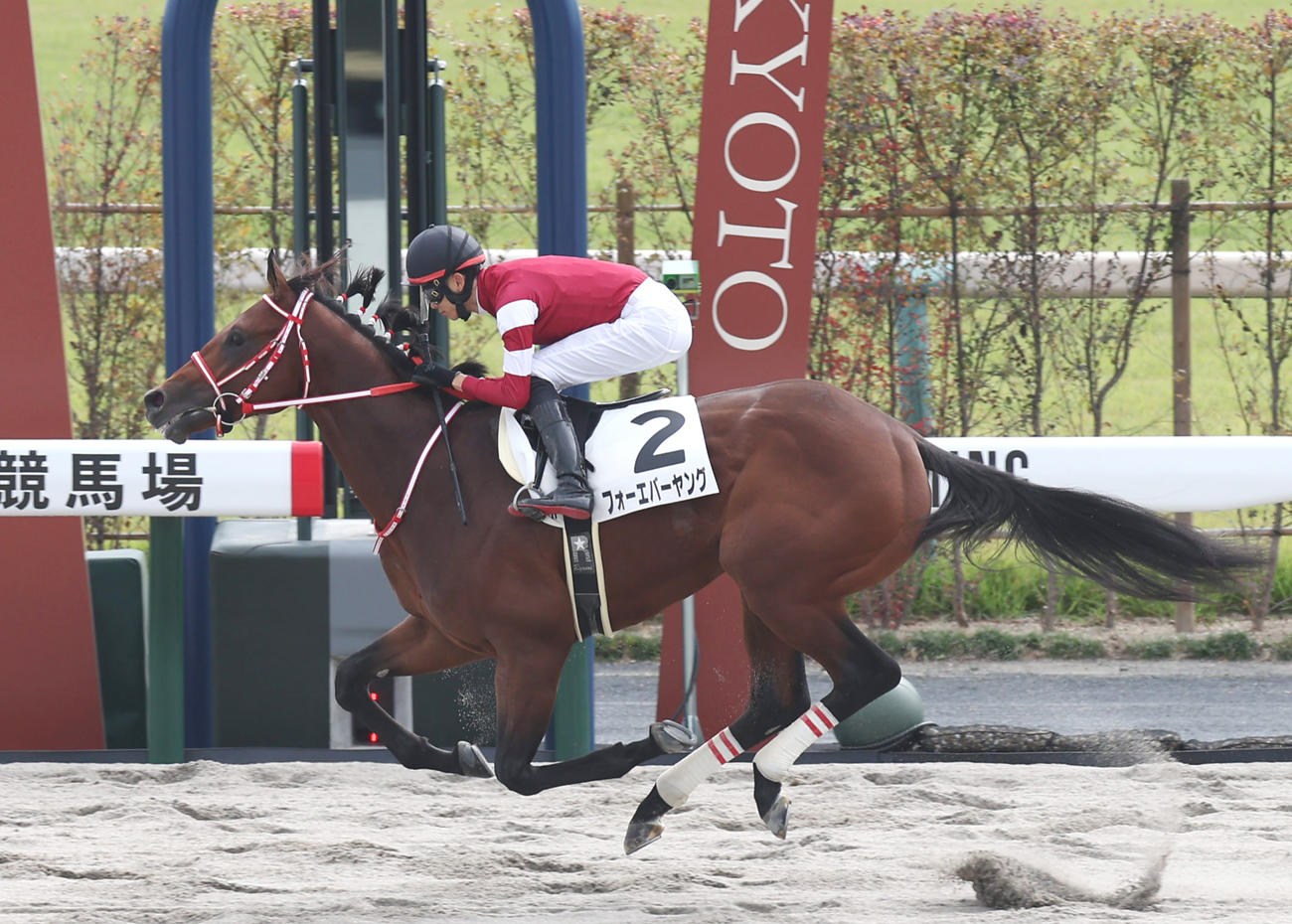 京都4R新馬戦を制したフォーエバーヤング（撮影・前田充）