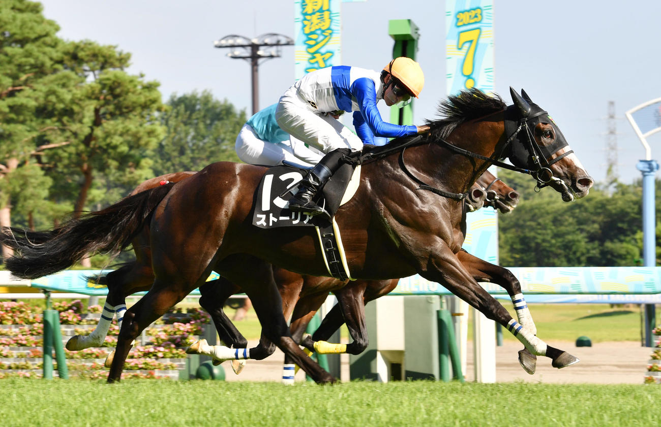 7月29日 新潟11R、関越Sを制したストーリア