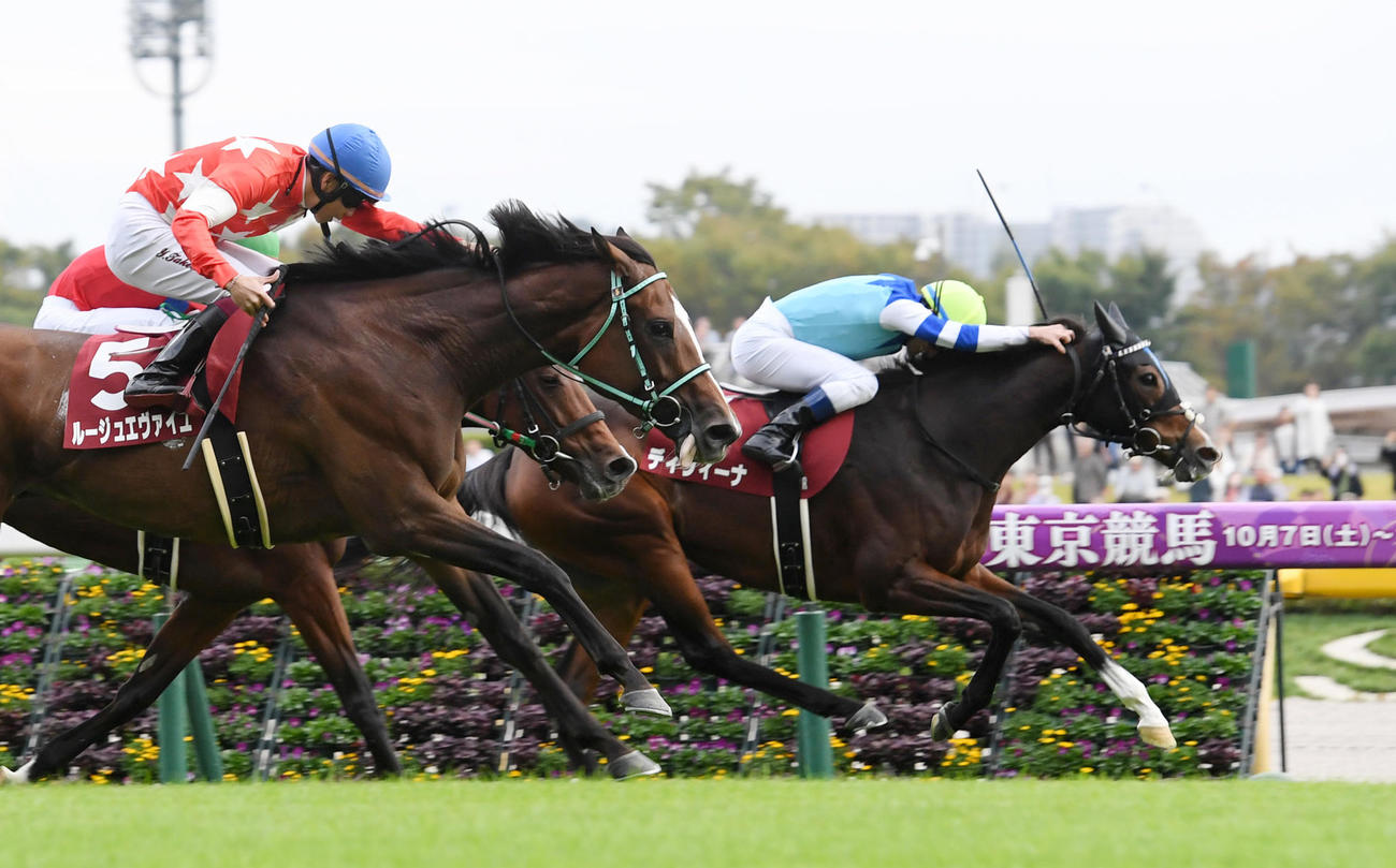 府中牝馬Sを制したディヴィーナ（右）（撮影・柴田隆二）