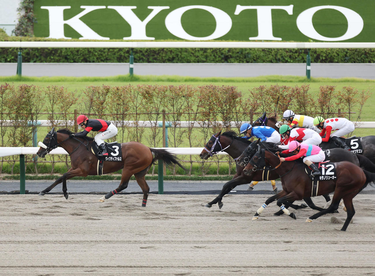 太秦Sを制したヴィクティファルス（撮影・前田充）
