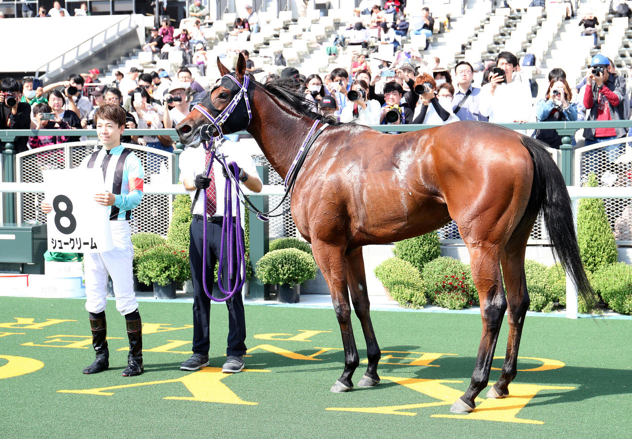 京都4R　新馬戦を制したシュークリームと口取りに並ぶ松山騎手（左）（撮影・白石智彦）