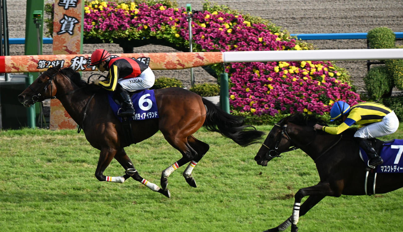 直線で抜け出したリバティアイランドが秋華賞を制し3冠を達成した（撮影・和賀正仁）