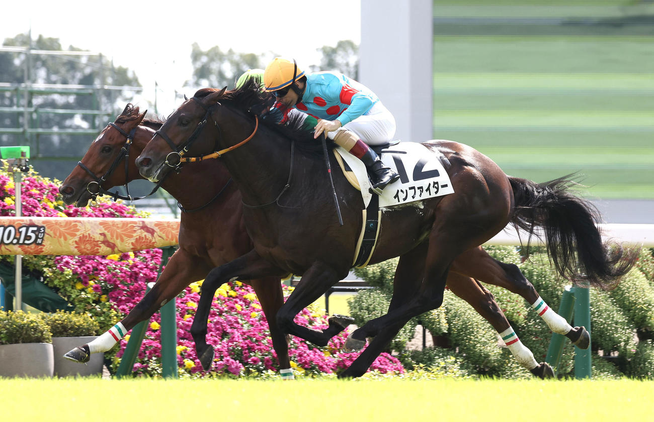 京都5R新馬戦を制したエルサビオ（向こう側）（撮影・白石智彦）