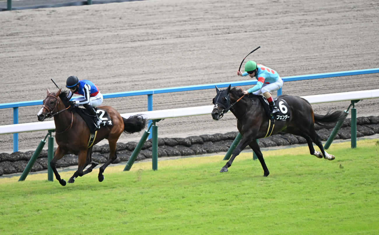 京都8RもみじS 1着ナナオ（2番）、2着フェンダー（6番）（撮影・和賀正仁）
