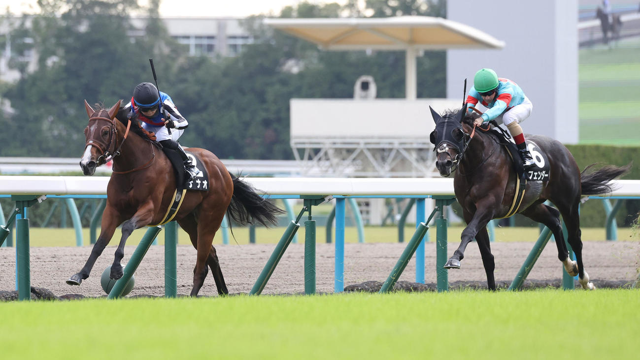 京都8R、逃げ切ってもみじSを制したナナオ（左）（撮影・白石智彦）