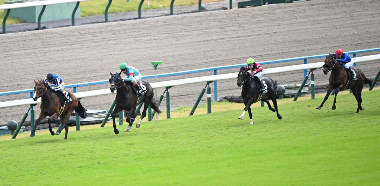 京都8RもみじS 1着ナナオ（2番）、2着フェンダー（6番）（撮影・和賀正仁）