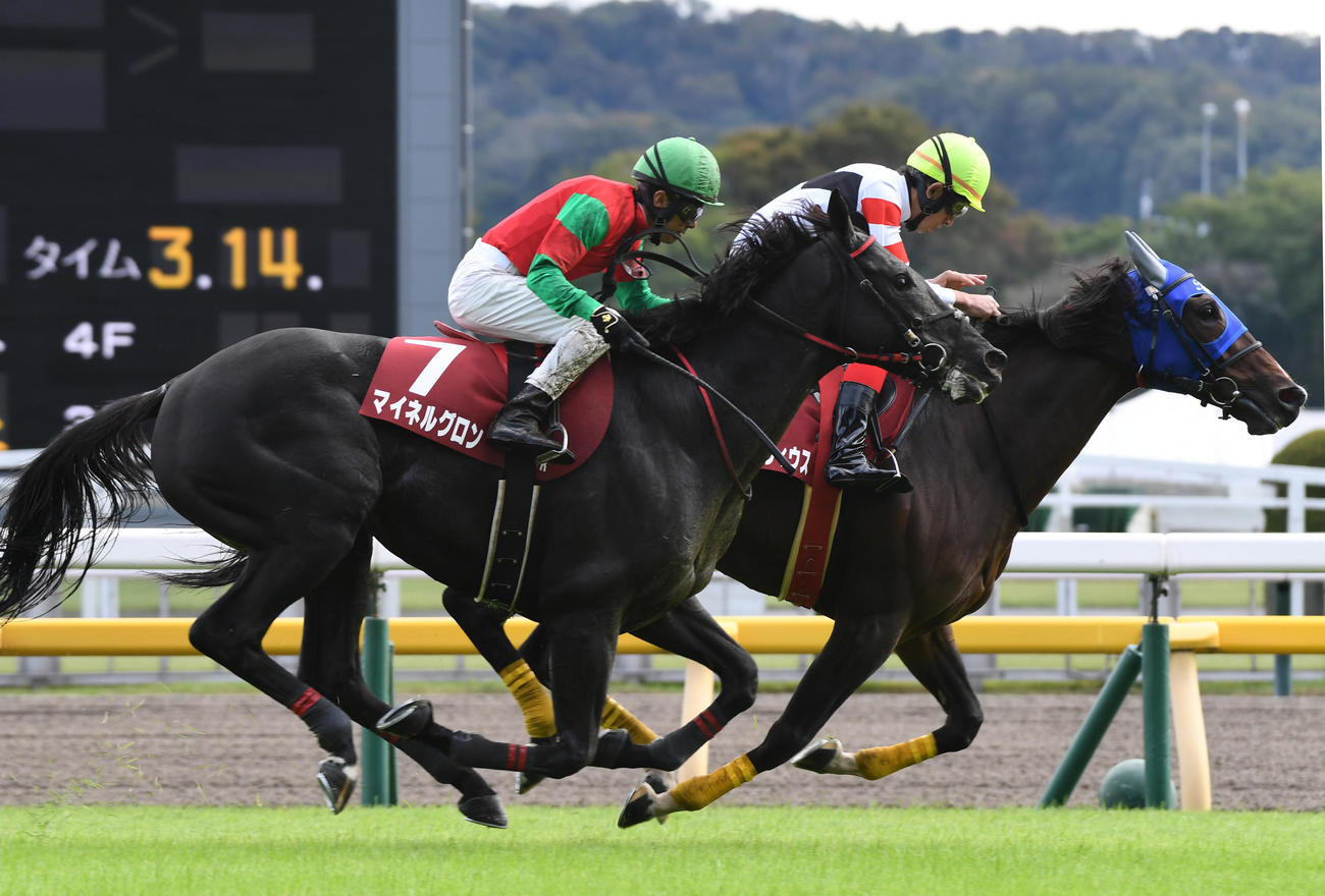 東京ハイJを制したマイネルグロン（左）、2着ホッコーメヴィウス（撮影・柴田隆二）