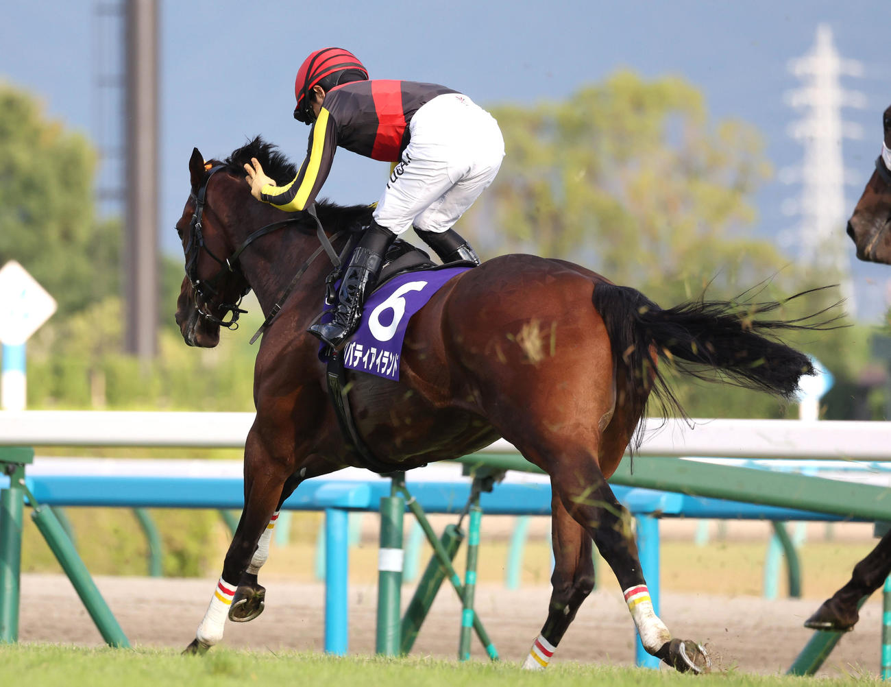 リバティアイランドで秋華賞を制し牝馬3冠を達成した川田騎手は指を3本立てる（撮影・白石智彦）