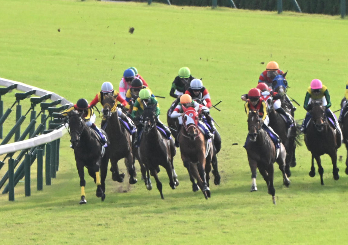 4角出口で武豊騎乗のソレイユヴィータ（右端）をかわしたリバティアイランド（撮影・和賀正仁）