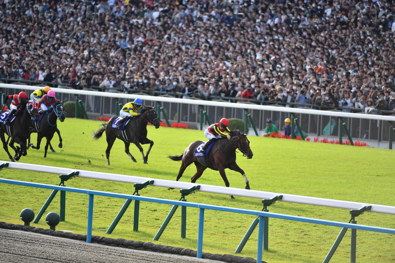 最終コーナーから先頭を譲らず3冠を達成したリバティアイランドと川田将雅騎手（撮影・清水貴仁）
